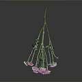 Pink Chrysanthemum Flowers With Green Stems And Leaves On Gray Background With Reflection