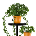 Modern Multi tiered Black Plant Stand With Orange Pots And Green Potted Plants