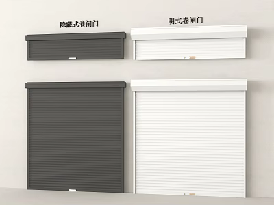 Concealed And Exposed Style Roller Doors With Black White Modern Design 3d model