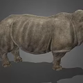 Detailed Realistic Rhinoceros 3D Model in Standing Pose on Gray Background