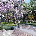 Scenic Feature Wall in Park Area with Large Trees Stone Platform Seating and People
