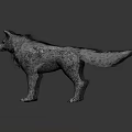 Three Different Colored Wolves Standing In Studio With Realistic Fur Details