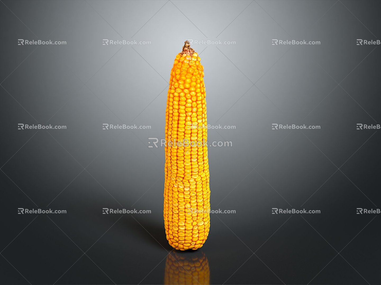 corn corn cartoon corn cartoon food food grain crops 3d model