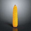 corn corn cartoon corn cartoon food food grain crops 3d model