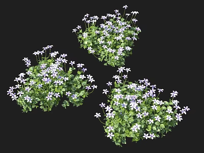 Three Clusters of Green Plants With Purple Flowers on Black Background 3d model