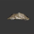 Rough Bird Nest Structure Composed of Fine Twigs and Irregular Shape on Dark Background