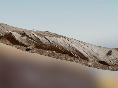 Natural Outdoor Scene With Weathered Wood Logs And Rough Stone Surfaces 3d model
