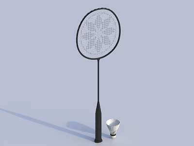 Professional Badminton Sports Equipment With Black Patterned Racket And White Shuttlecock 3d model