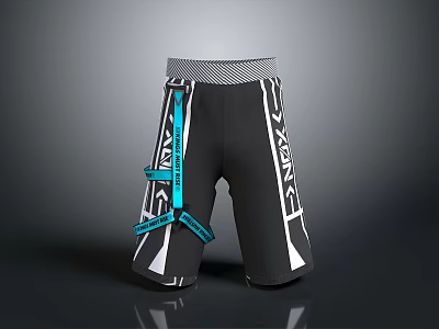 Stylish Black And White Sports Shorts With Blue Straps For Daily Active Wear 3d model