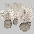 Dried Pampas Grass Hydrangea and Baby's Breath in Concrete Vases on Gray Background