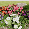 Vibrant Mixed Flowers In Natural Garden With White Red Purple Blooms And Green Leaves