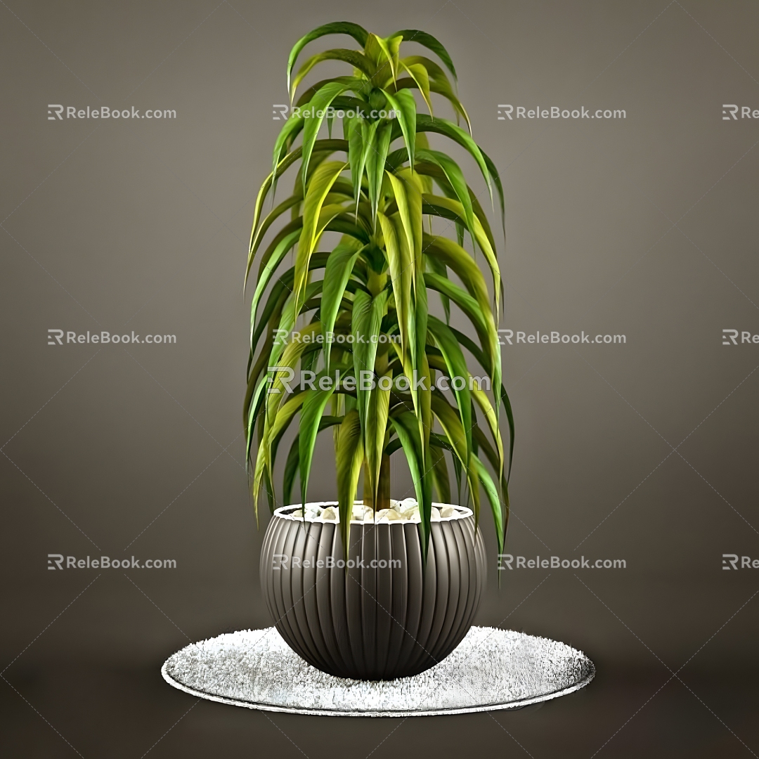 Modern Plant Potted Plant Modern Plant Flower Pot Flower Tank Potted Plant Green Plant Bonsai Pottery Landscape 3d model