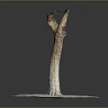 Wooden Stone Artistic Sculpture with Twisted Trunk on Round Stone Base Featuring Small Yellow Decoration