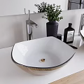 White Square Wash Basin With Black Rim Modern Faucet And Green Plant On White Countertop