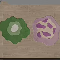 Two Decorative Irregular Shaped Rugs Green White Center and Pink Purple Spots on Wooden Floor