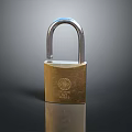 Brass Security Padlock With Silver Shackle Logo And Engraved Text On Smooth Surface 3d model
