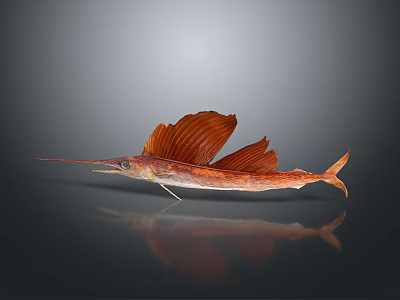 Red Sailfish With Long Bill And Large Fins On Gray Background Reflection 3d model