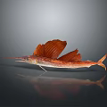 Red Sailfish With Long Bill And Large Fins On Gray Background Reflection