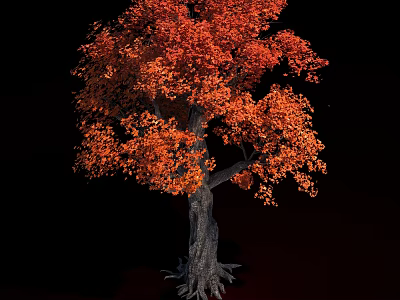 Arbor With Vibrant Red Leaves Thick Trunk And Exposed Roots In Autumn 3d model