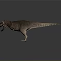 Tyrannosaurus Rex 3D Model With Open Mouth Sharp Teeth And Long Tail