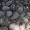 Natural Rockery Stones With Irregular Shapes And Various Sizes For Garden Landscape