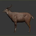 Realistic 3D Model of Standing Brown Antelope With White Spots and Curved Horns