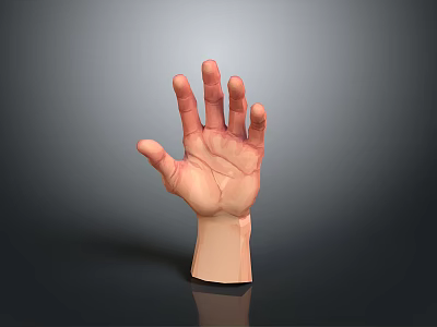 Realistic 3D Human Hand Model With Open Palm Detailed Texture And Reflection 3d model