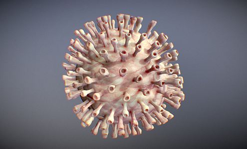 Modern virus 3d model