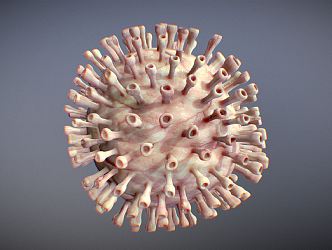 Modern virus 3d model