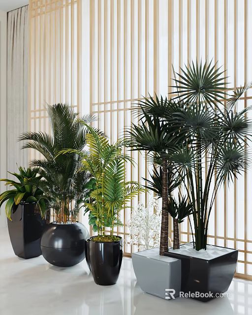Lush Potted Palm Plants With Green Leaves Placed In Black Pots Against Wooden Lattice Background 3d model 