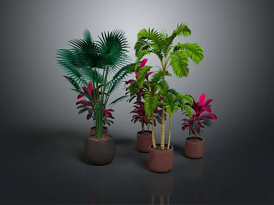 Various Indoor Plants With Green Red Leaves In Brown Pots On Dark Background 3d model