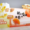 Autumn Ginkgo Photo Check In Spot With Golden Leaves And Melody Vibe