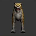 3D Leopard Model With Yellow Spotted Fur Standing Open Mouth On Dark Background With Reflection 3d model