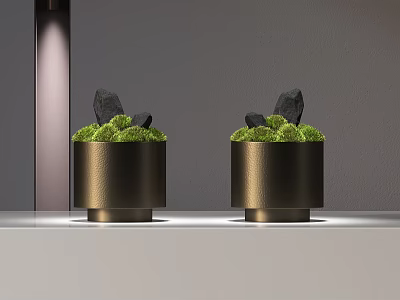 Bonsai Potted Plants in Golden Cylindrical Pots with Green Moss and Black Stones 3d model