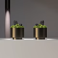 Bonsai Potted Plants in Golden Cylindrical Pots with Green Moss and Black Stones
