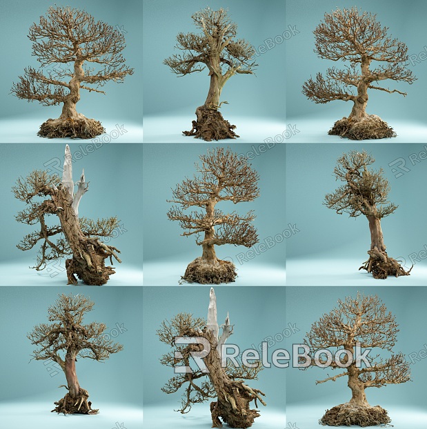 Dead Wood Dead Wood Dead Bonsai Trees Dead Wood Bonsai Trees Plant Combination Autumn Dead Wood Trees Dead Trees Bonsai model