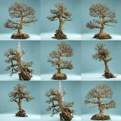 Diverse Shaped Arbor Trees Featuring Exposed Roots And Unique Trunks On Light Blue Background 3d model