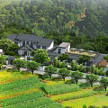 Rural Country Villa Surrounded by Green Fields Lush Trees and Scenic Landscape