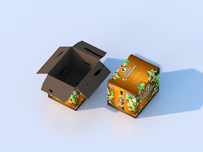 Household Product Storage Boxes Open And Closed With Orange Gourmet Seeds Design 3d model