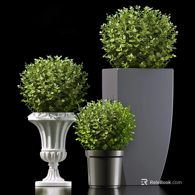 Potted Bonsai Plants With Round Shaped Green Foliage In Various Decorative Pots 3d model 