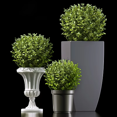 Potted Bonsai Plants With Round Shaped Green Foliage In Various Decorative Pots 3d model
