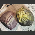 Fresh Whole Chinese Cabbage and Half Sliced Red Onion on White Paper Towel
