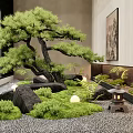 Japanese Style Indoor Landscape With Pine Tree Moss Rocks And Stone Lantern