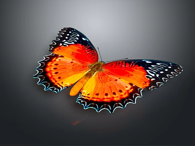 Vibrant Orange Butterfly With Black Blue Edged Wings And Colorful Spots 3d model