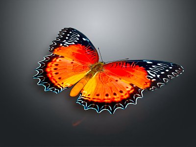 Modern Butterfly Colourful Butterfly Tabby Butterfly Leaf Butterfly Flying Animal Flying Insect 3d model