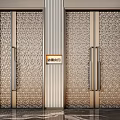 Elegant Gold Textured Double Doors With Modern Handles For Home Entrance