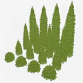 Evergreen Arbor Collection With Various Tree Shapes And Lush Foliage Details