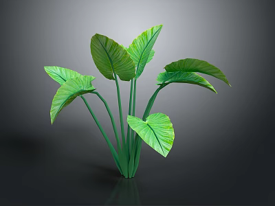 Lush Tropical Indoor Plant With Large Green Leaves And Long Green Stems 3d model