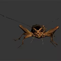 Detailed 3D Rendering of a Cricket with Antennae Legs and Exoskeleton Features
