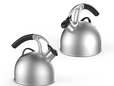 Stainless Steel Kettles With Black Handles For Household Daily Use 3d model